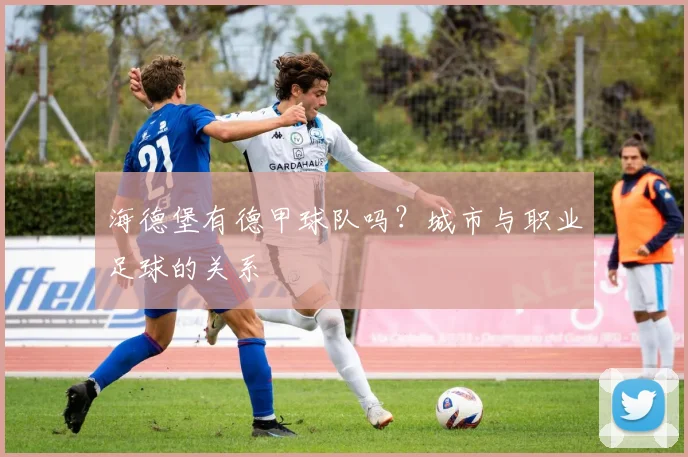 海德堡有德甲球队吗？城市与职业足球的关系